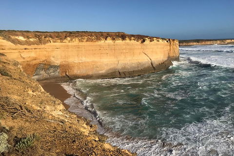 12 Apostles Tour From Warrnambool - Accommodation Batemans Bay 1