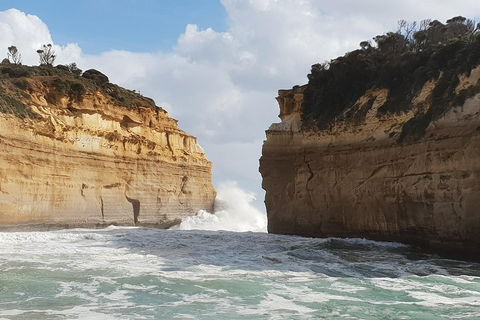 12 Apostles Tour From Warrnambool - Accommodation Batemans Bay 2
