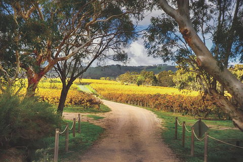 McLaren Vale Winery Small Group Tour With Wine Tasting And Lunch - Accommodation Batemans Bay 1
