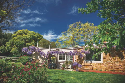McLaren Vale Winery Small Group Tour With Wine Tasting And Lunch - Accommodation Batemans Bay 2