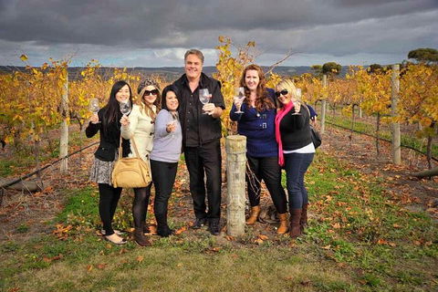 McLaren Vale Winery Small Group Tour With Wine Tasting And Lunch - Accommodation Batemans Bay 3