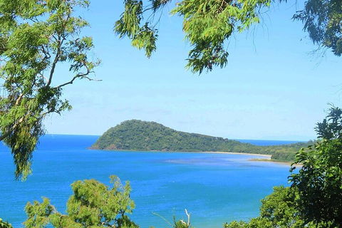 Full Day Tour In The Daintree - Accommodation Batemans Bay 1