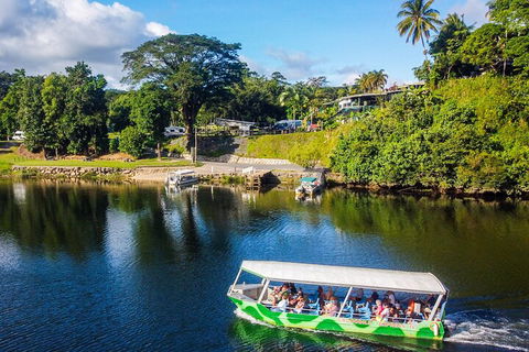 Full Day Tour In The Daintree - Accommodation Batemans Bay 2