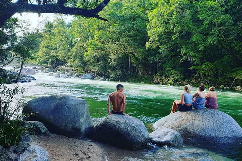 Full Day Tour In The Daintree - Accommodation Batemans Bay 3