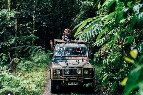 Full Day Tour In The Daintree - Accommodation Batemans Bay 4