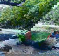Afternoon Half-Day Daintree Rainforest and River Tour - Accommodation Batemans Bay
