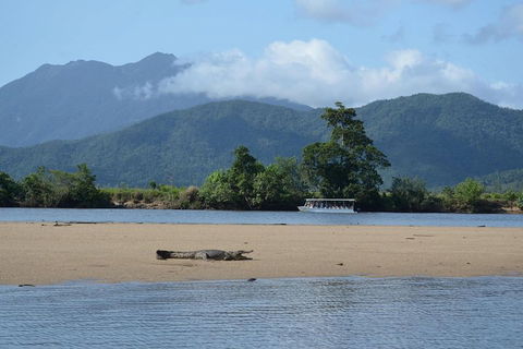 Afternoon Half-Day Daintree Rainforest And River Tour - Accommodation Batemans Bay 2