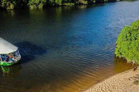 Afternoon Half-Day Daintree Rainforest And River Tour - Accommodation Batemans Bay 3