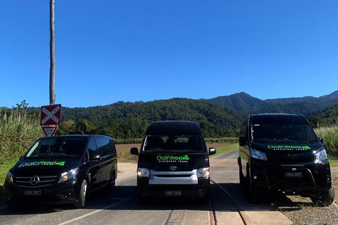 Afternoon Half-Day Daintree Rainforest And River Tour - Accommodation Batemans Bay 4