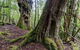 3-Day Cradle Mountain Photography Workshop - thumb 1