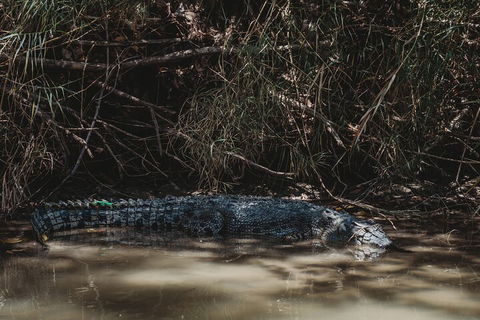Kakadu Full-Day Tour From Darwin With Lunch - Accommodation Batemans Bay 4