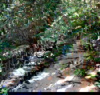 Fraser Island 4WD Tour from Rainbow Beach - Accommodation Batemans Bay