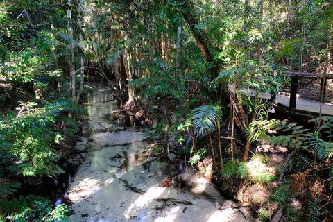 Fraser Island 4WD Tour From Rainbow Beach - Accommodation Batemans Bay 0