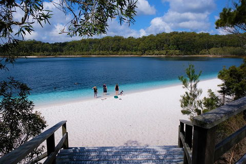 Fraser Island 4WD Tour From Rainbow Beach - Accommodation Batemans Bay 3