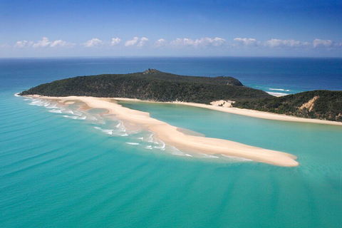 Kayak With Dolphins And 4WD Great Beach Drive Day Trip From Noosa - Accommodation Batemans Bay 5