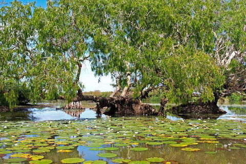 Ethical Adventures - Best In The WET - Litchfield / Kakadu 3 Day- Max 10 Guests - Accommodation Batemans Bay 1