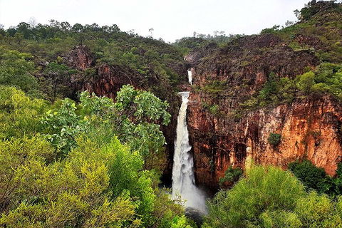 Ethical Adventures - Best In The WET - Litchfield / Kakadu 3 Day- Max 10 Guests - Accommodation Batemans Bay 2