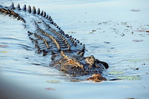 Ethical Adventures - Best In The WET - Litchfield / Kakadu 3 Day- Max 10 Guests - Accommodation Batemans Bay 4