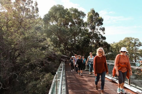Highlights Of Kings Park - Accommodation Batemans Bay 3