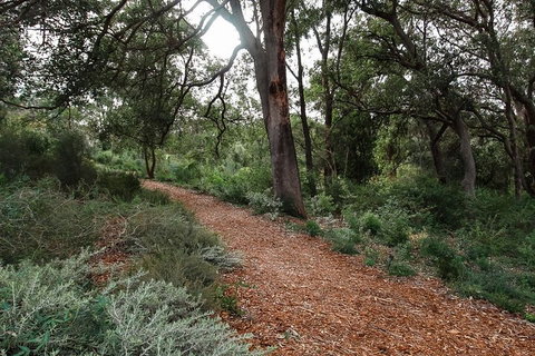 Highlights Of Kings Park - Accommodation Batemans Bay 5