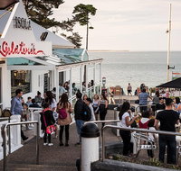 Phillip Island and French Island Wildlife Expedition - Accommodation Batemans Bay
