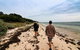 Phillip Island And French Island Wildlife Expedition - thumb 1