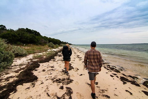 Phillip Island And French Island Wildlife Expedition - Accommodation Batemans Bay 1