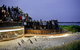 Phillip Island And French Island Wildlife Expedition - thumb 5