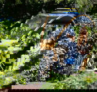 Adelaide 90-Minute Pedicab Tour Scenic Green  River Experience - Accommodation Batemans Bay
