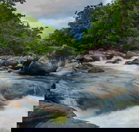 Cape Tribulation Day Tour - Accommodation Batemans Bay