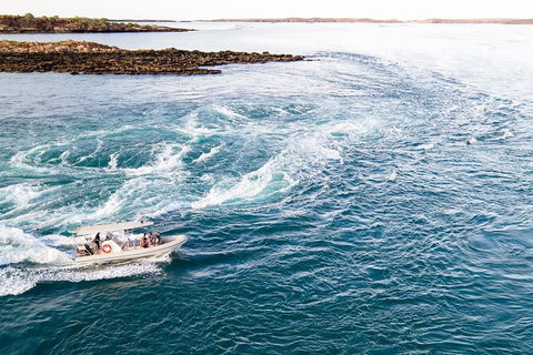 Giant Tides Tour - Cygnet Bay Pearl Farm - Accommodation Batemans Bay 4