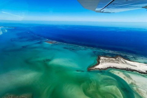 Wet Season Incredible Islands Tour - Horizontal Falls & Cygnet Bay Pearl Farm - Accommodation Batemans Bay 4