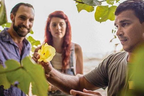 Ngana Julaymba Dungay - Full Day - Accommodation Batemans Bay 4