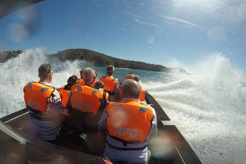 Noosa Thriller - 500hp Ocean Adventure Ride - Accommodation Batemans Bay 3