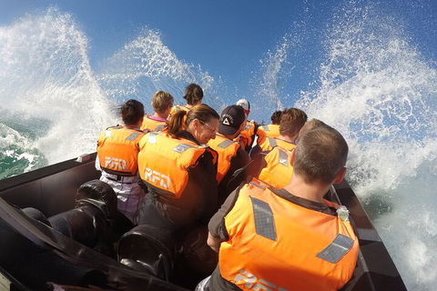 Noosa Thriller - 500hp Ocean Adventure Ride - Accommodation Batemans Bay 4