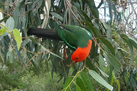 3-Day Private Adelaide To Melbourne Tour - Accommodation Batemans Bay 0