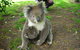 3-Day Private Adelaide To Melbourne Tour - thumb 5