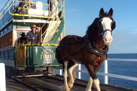 Full-Day Tour In South Australia Highlights - Accommodation Batemans Bay 1