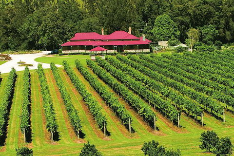 O'Reilly's & Lamington National Park From Brisbane - Accommodation Batemans Bay 2