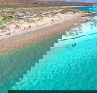 Ningaloo in a Day - Full Day Hike and Snorkel Tour with Lunch - Accommodation Batemans Bay