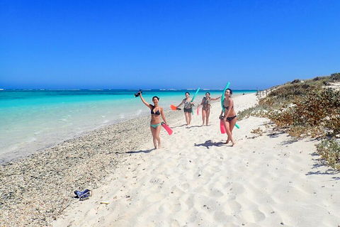 Ningaloo In A Day - Full Day Hike And Snorkel Tour With Lunch - Accommodation Batemans Bay 1
