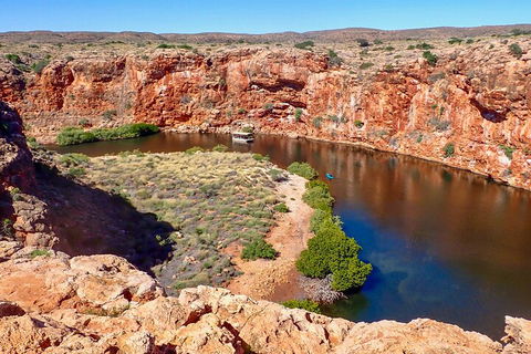 Ningaloo In A Day - Full Day Hike And Snorkel Tour With Lunch - Accommodation Batemans Bay 2