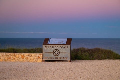 Ningaloo In A Day - Full Day Hike And Snorkel Tour With Lunch - Accommodation Batemans Bay 5