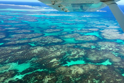Shipwreck Special Full Day Tour Of The Abrolhos Islands - Accommodation Batemans Bay 1