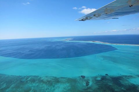 Shipwreck Special Full Day Tour Of The Abrolhos Islands - Accommodation Batemans Bay 2