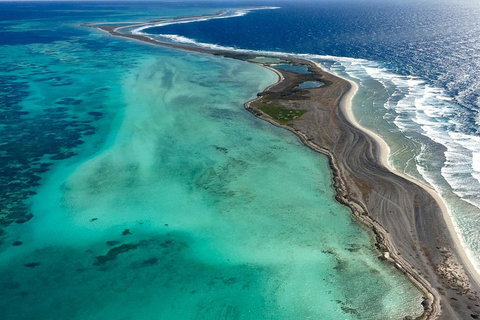 Shipwreck Special Full Day Tour Of The Abrolhos Islands - Accommodation Batemans Bay 3