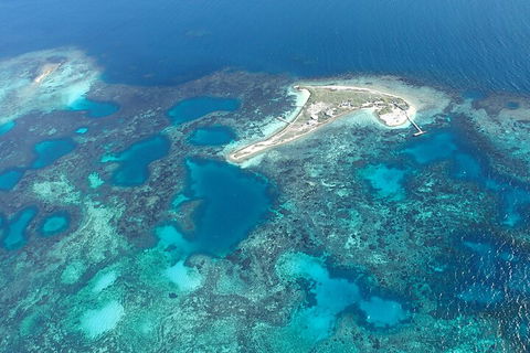 Shipwreck Special Nature Tour/Half Day Tour - Accommodation Batemans Bay 5