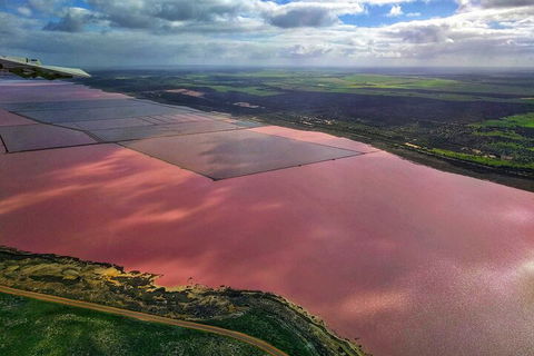 Kalbarri, Pink Lake And Abrolhos Islands Nature Tour - Accommodation Batemans Bay 1