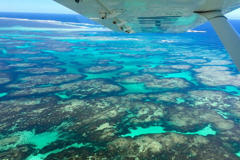 Kalbarri, Pink Lake And Abrolhos Islands Nature Tour - Accommodation Batemans Bay 5