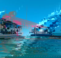 Best of Moreton Bay Cruise - Accommodation Batemans Bay